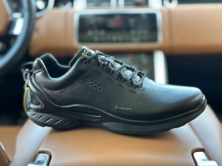 Ecco E-02-1