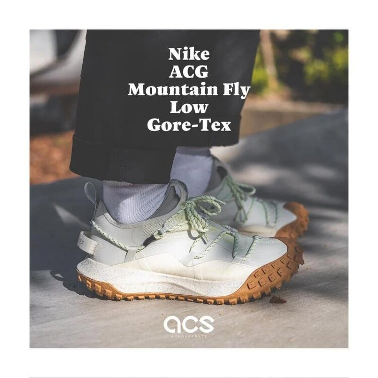 Nike ACG Mountain Fly Low Gore-Tex GTX