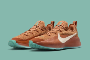 Nike LeBron TR 1