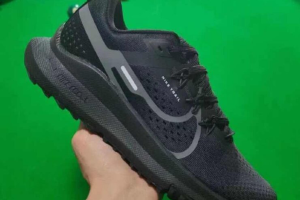Nike React Pegasus Trail 4