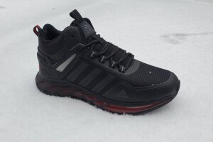 Adidas Зима (2446-11)