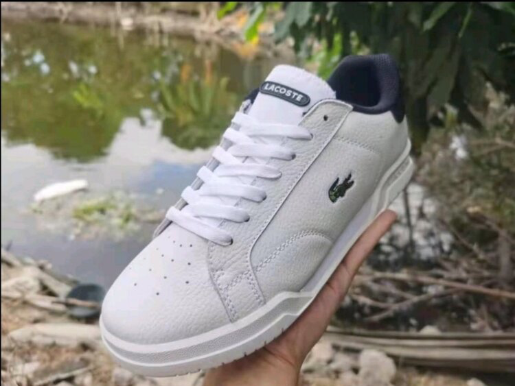 Lacoste Lacoste